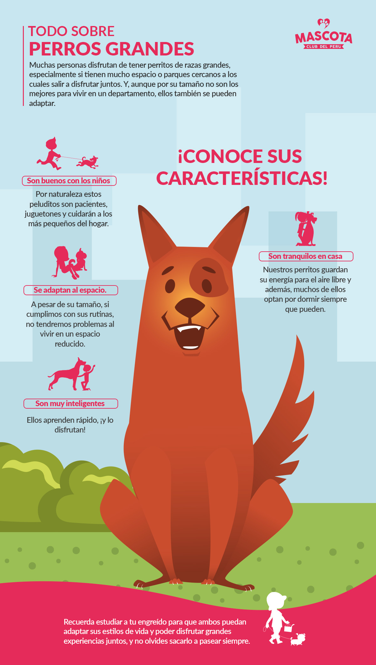 Suavemente panorama gráfico Todo sobre perros grandes. - Mascota Club del Perú