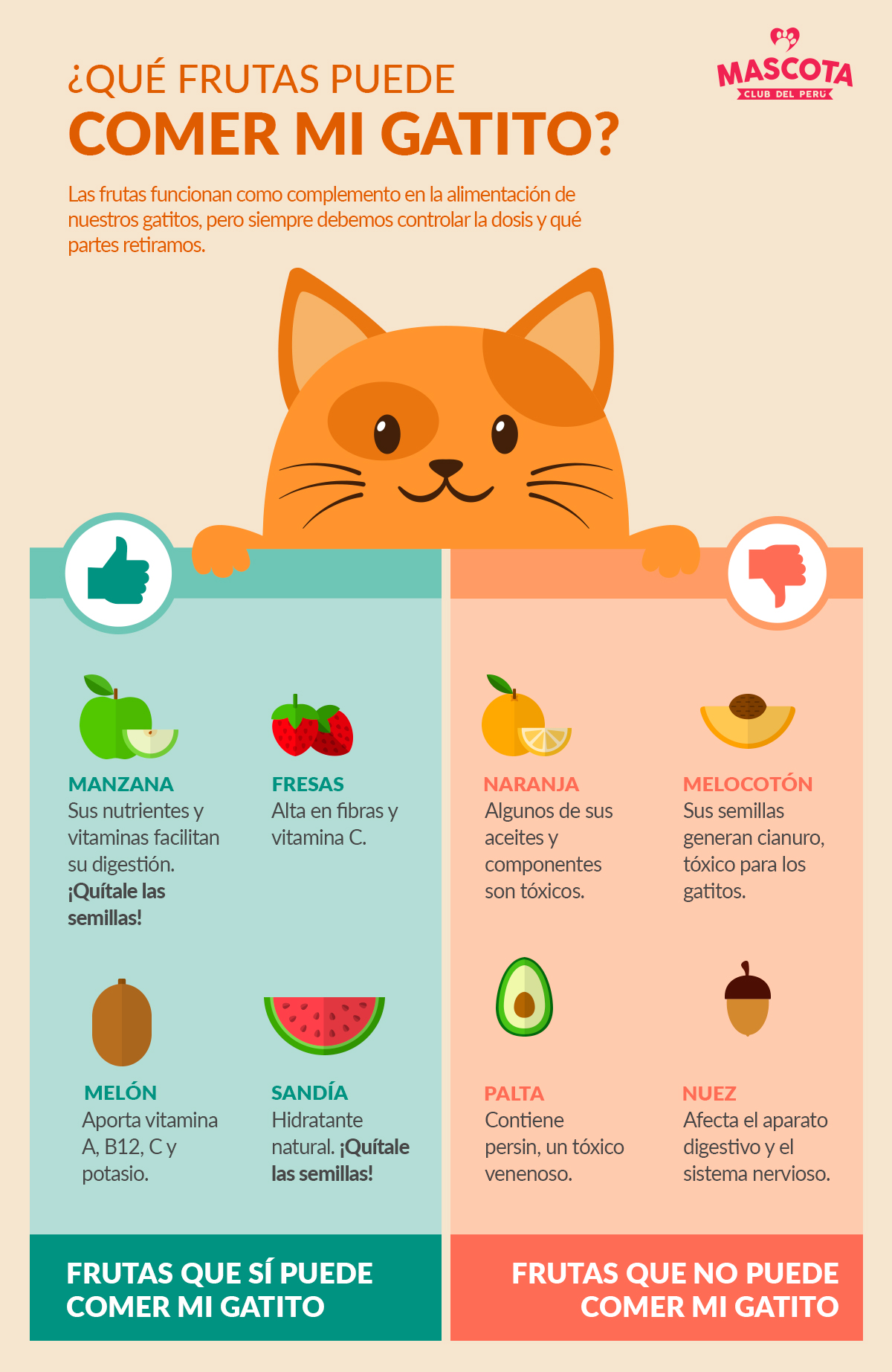 ¿Que Frutas Pueden Comer Los Gatos?