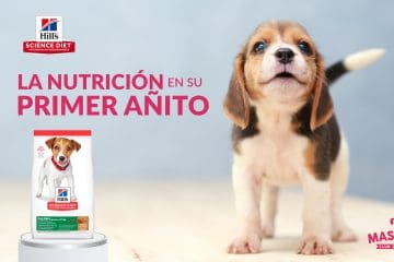 La Importancia de la nutrición en el primer año de tu cachorrito