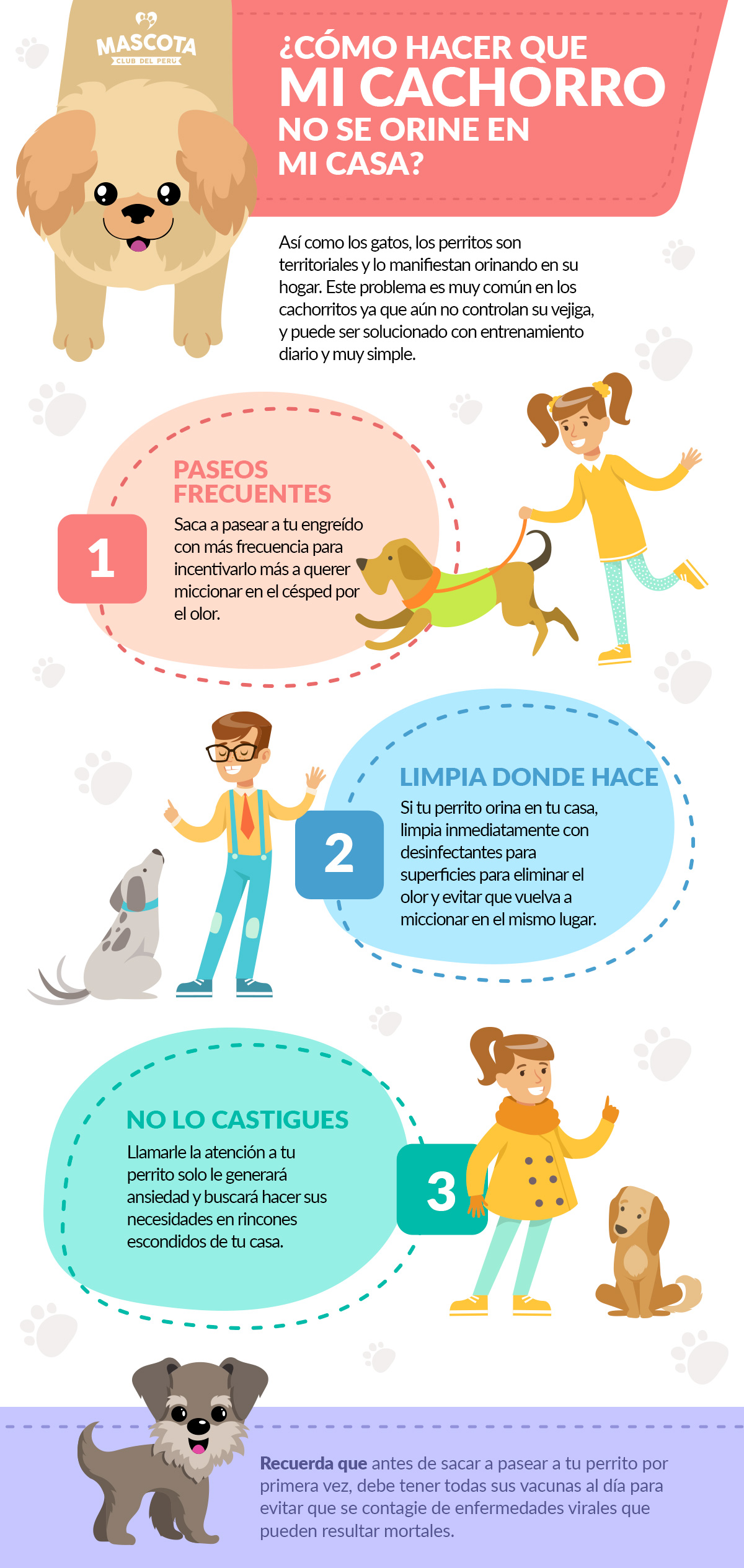 Cómo lograr mi cachorro no se en casa? - Mascota Club del Perú