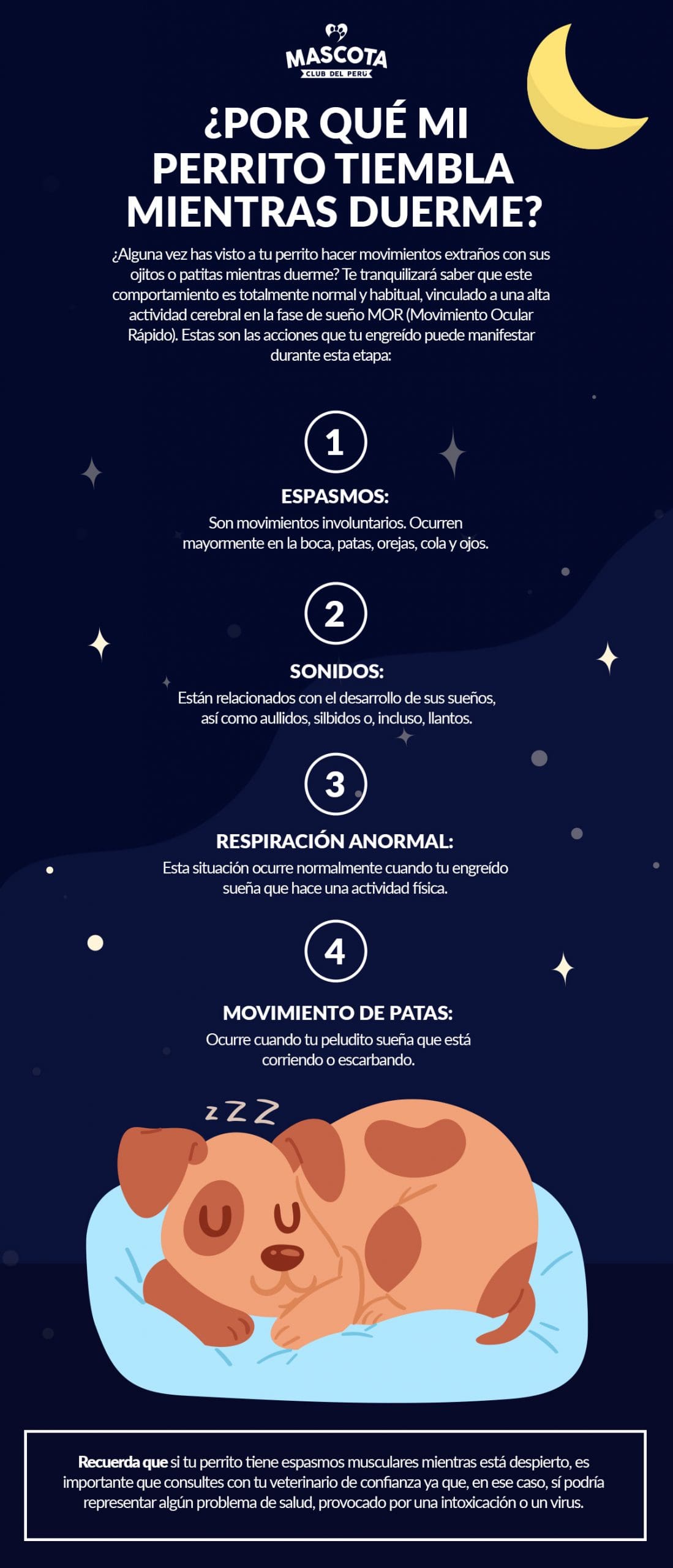 Por qué mi perrito tiembla duerme? - Club del Perú