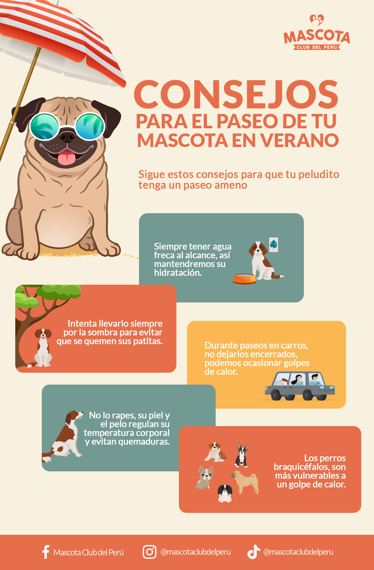 Consejos Para El Paseo De Tu Mascota En Verano Mascota Club Del Perú