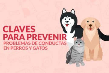 Claves para prevenir problemas de conductas en perros y gatos