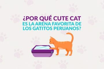 ¿Por qué Cute Cat es la arena favorita de los gatitos peruanos?