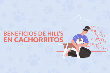 Beneficios de Hill’s en cachorritos