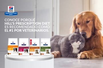 Conoce por qué Hill’s Prescription Diet es recomendado como el #1 por veterinarios.