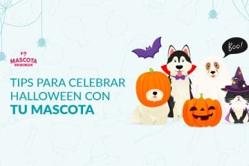Tips para celebrar Halloween con tu mascota