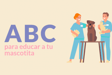 ABC para educar a tu cachorrito