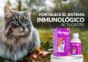 Fortalece el sistema inmunológico de tu gatito y cuida su pelaje con Mirrapel