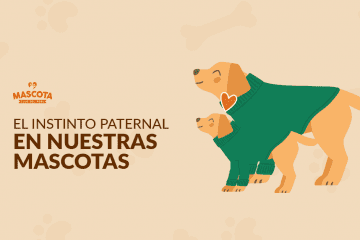 El instinto paternal en nuestras mascotas