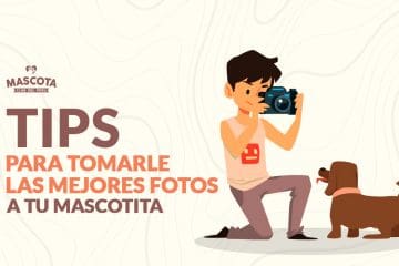 Tips para tomarle las mejores fotos a tu mascotita