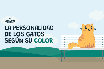 La personalidad de los gatos según su color