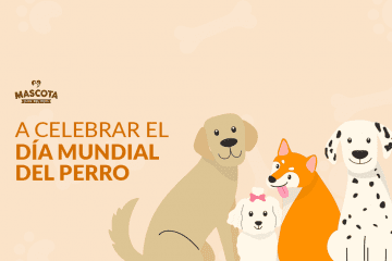 A celebrar el Día Mundial del Perro