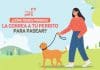 ¿Cómo debes ponerle la correa a tu perrito para pasear?